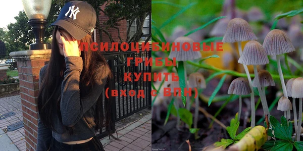 твердый Аркадак