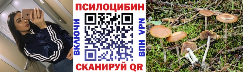 купить   Иланский  kraken вход  Галлюциногенные грибы мицелий 